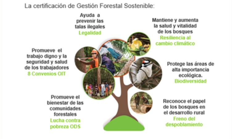 Acciones para proteger la biodiversidad y promover la sostenibilidad